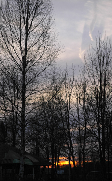 _DSC1428 copy